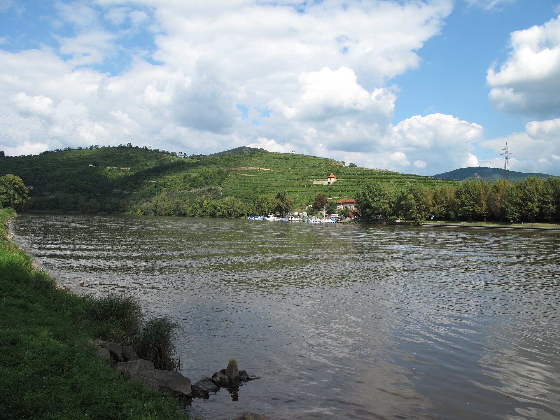 Vinice na Litoměřicku — vinařská oblast